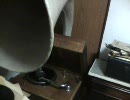 蓄音機でエルヴィス・プレスリー「ラヴ・ミー・テンダー」E.M.Ginn!!
