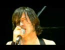 (LIVE) The Libertines - Don't Look Back Into The Sun (Fuji Rock Festival '03)