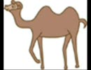 凄い力　goodcamel
