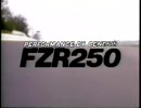 【バイク】　FZR250　PV
