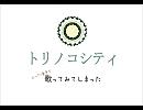 ｜歌ってみた 【トリノコシティ】｜ 
