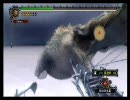 【MH3】　上位ジエン・モーラン　ボウガン　ソロ討伐　（前編）