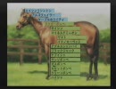 【実況】2009年、フリーターは馬主になった。その111