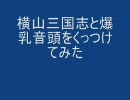 爆乳三国志がどれだけ三国志と合わないのか実験した。