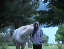 Guebe 「Fingis」