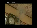 【ＰＶとか】　ミツバチ　【マジ勘弁ｗｗｗ】