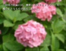 フリーの名作？夏にやるべきミステリーノベルを実況プレイ　その５