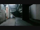 逃げ遅れました