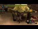 【MHP2G】片手剣始めました。22【ニャンニャン動画(棒)】