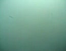 【ラル】アレックス　