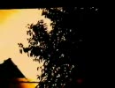 「celluloid」を歌いました。