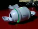 ｸﾞﾀﾞｸﾞﾀﾞRolly