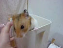 ミサイルくんの日常 Part13
