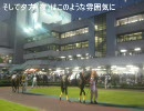 川崎競馬場パドック写真集