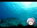 【3/100】ゆっくり怪談朗読「霊道」