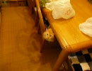 ぬこ