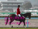 【競馬MAD】リアル　元競走馬のオレっち