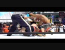 プロレスリング紫焔　2010.08.22 『セミファイナル』 日本橋