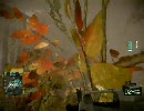 BFBC2　ISLA INOCENTES　防衛側          ヾ(`ﾟ`:.;”ﾟ`)ﾉﾞ