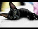 動物を描いてみた。