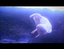 Tropics - Soft Vision