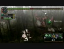 MHP2G　ヒプノックを友達とふつーに倒してみた