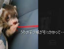 【二人でぼそｇｄ！】零-ZERO-【実況プレイ動画】 part15