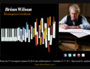Brian Wilson - The Like In I Love You (2010)