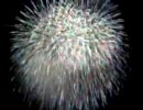 2010年 阿賀野川ござれや花火・花鳥風月