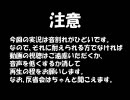 茶柱を立たせたい一心でバトレボ実況VSプピェポ【バトレボカップ2010】
