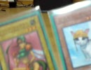 一人ではつまらないから制限改定のカードを再構築してみた【遊戯王】