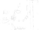 கறி