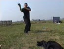 黒竜忍術 Hidden Dagger Form  - 秘密の剣の形態を使って: Sensei Arie van den Akker