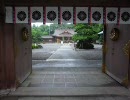 参道をゆく ～三河一宮 砥鹿神社～