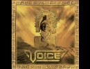 Voice - Golden Signs