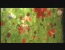 Susumu Yokota - Re
