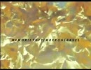 Coldcut & Hexstatic - Timber (Clifford Gilberto mix)