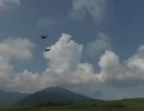 【2010総合火力演習】F-2対地攻撃