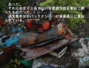 【田舎の夏】「ひぐらしのなく頃に」実況プレイ【憧れる】part13