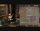 双獅激天（リベンジ編）　ソロ　MHP2ndG