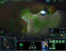 【Starcraft2】 Insane Blitz sample
