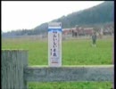 AKB48!