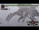 MHP2G ファミ通 吹雪を討つもの 閃光無し ふんどしソロ