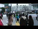【MAD】チームステッペンウルフ/アナルサティスファクション