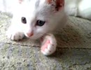 指が気になって眠れない