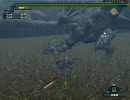 【MHF】ナルガとクルガが狩りに行って来ました♪　レイア①