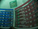 Ａクラス　ぬこ時報inRCB（ころね／ぬこ視点）