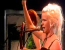 Katzenjammer - a Bar in Amsterdam