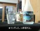 【ほろ酔い実況】死んだら酒を飲むデモンズソウル【１４杯目】