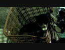 最近良く見かける猫９５（久々にカゴに入ってた編）